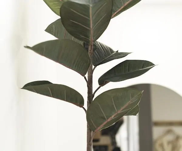 La - Saint Vendégház