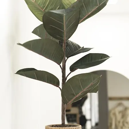 La - Saint ゲストハウス